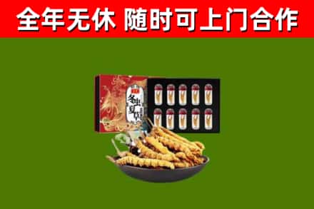 滨湖区回收冬虫夏草价格